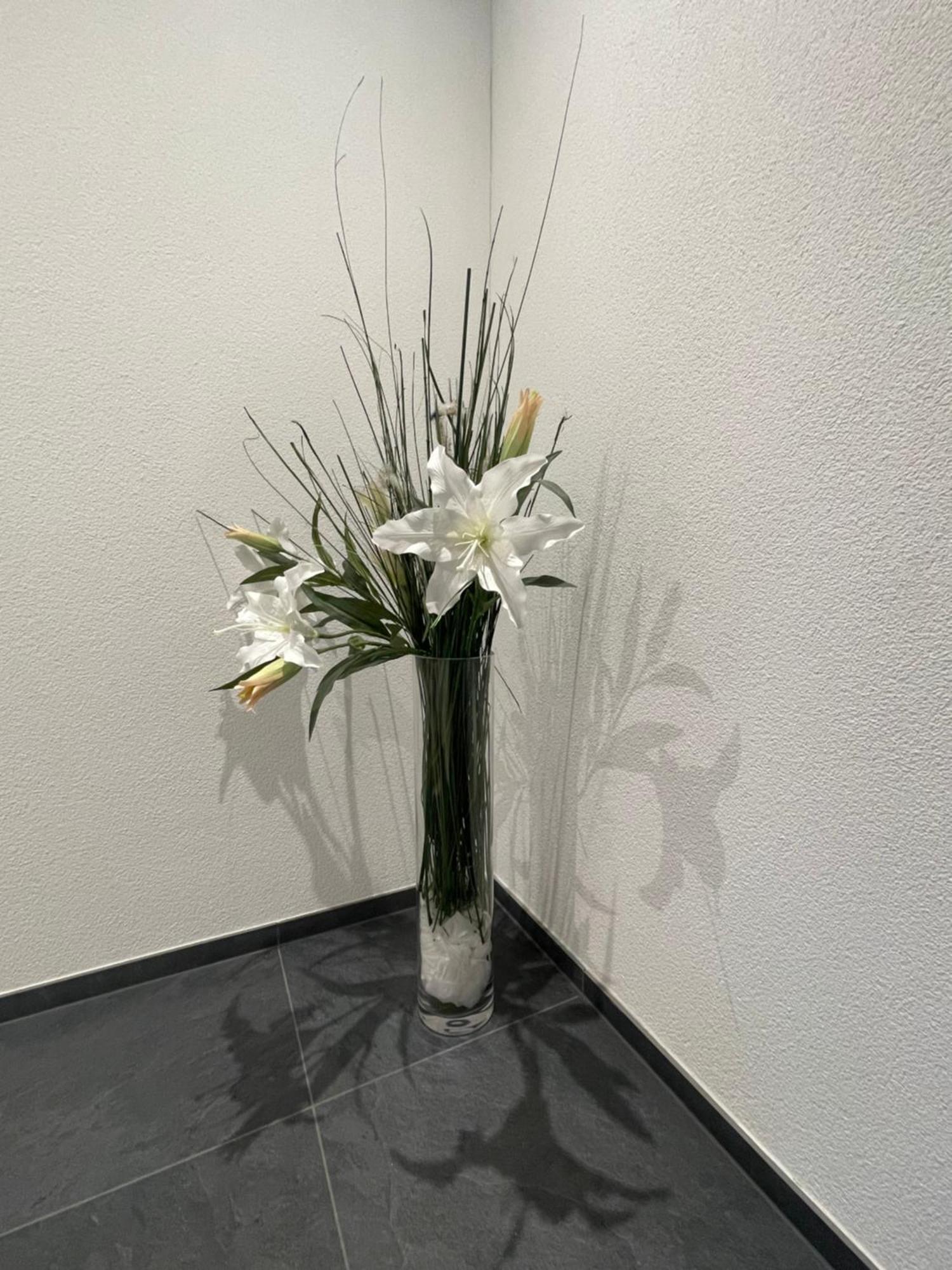 V.I.P Appartement Böttstein Kültér fotó